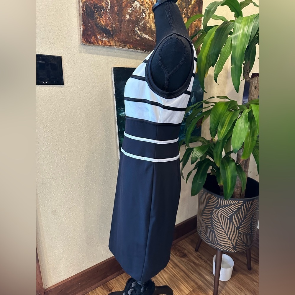 White House Black Market Minimalist Career Sheath Dress | Monochrome Stripe | 6 - Picture 6 of 10